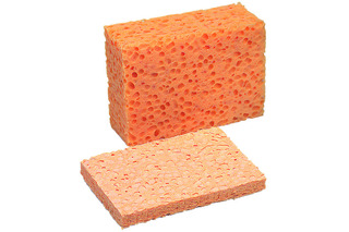 Malerschwamm Malerschwamm