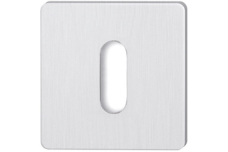 Entrées de clé HAFI FlushLine 881