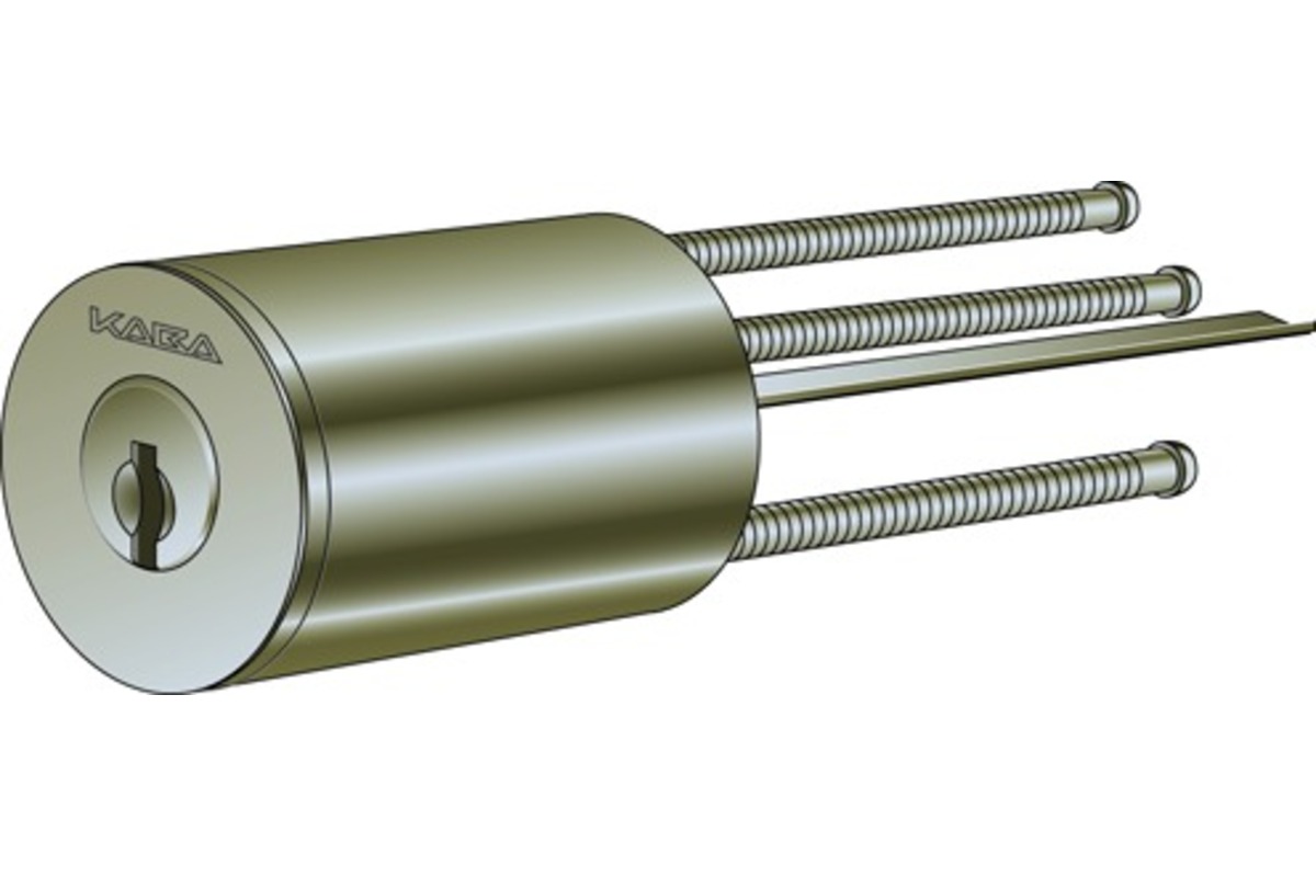 Kaba Insync M Series Cilindri esterni KABA 8 tipo M1508 | opo.ch