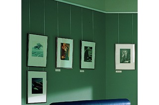 Bilderschiene Multi 1 Bilderschiene Multi 1