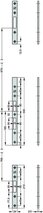 Kit di controcarrtelle piatta EFF-EFF 819