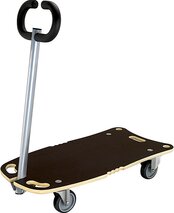 Chariot de transport WAGNER StarCarrier
